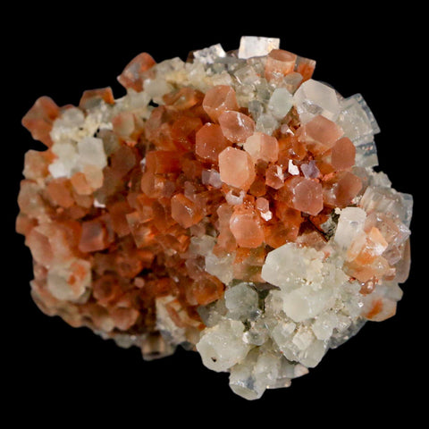 2.3" Aragonite Mineral Two Tone Crystal Cluster Specimen Tazouta Morocco - Fossil Age Minerals