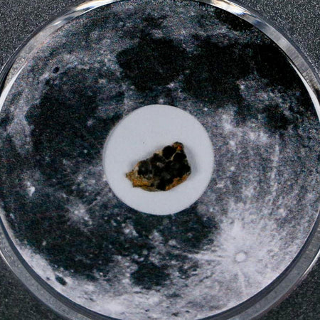 Moon Rock Lunar Meteorite Bechar 003 Algerian Sahara Desert Discovered 2022 COA