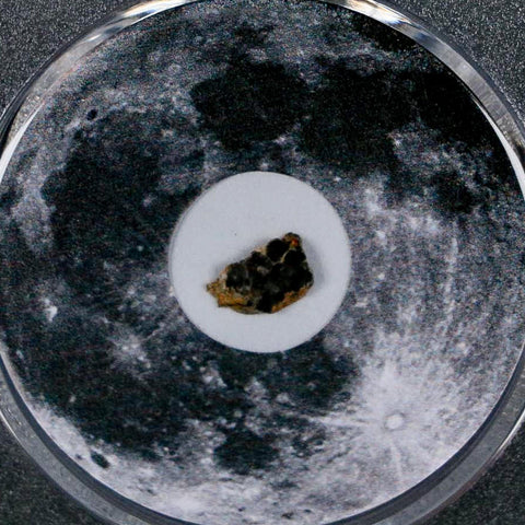 Moon Rock Lunar Meteorite Bechar 003 Algerian Sahara Desert Discovered 2022 COA