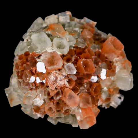 1.8" Aragonite Mineral Two Tone Crystal Cluster Specimen Tazouta Morocco - Fossil Age Minerals