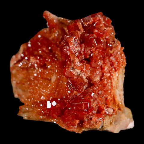 1.7" Sparkly Red Vanadinite Crystals on Orange Barite Blades Mineral Mabladen Morocco - Fossil Age Minerals