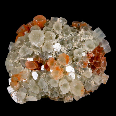 1.8" Aragonite Mineral Two Tone Crystal Cluster Specimen Tazouta Morocco - Fossil Age Minerals
