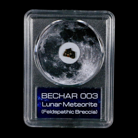 Moon Rock Lunar Meteorite Bechar 003 Algerian Sahara Desert Discovered 2022 COA