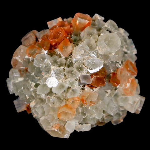 1.8" Aragonite Mineral Two Tone Crystal Cluster Specimen Tazouta Morocco - Fossil Age Minerals