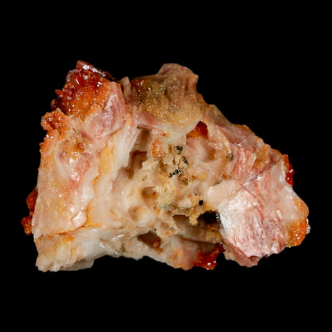 1.7" Sparkly Red Vanadinite Crystals on Orange Barite Blades Mineral Mabladen Morocco - Fossil Age Minerals