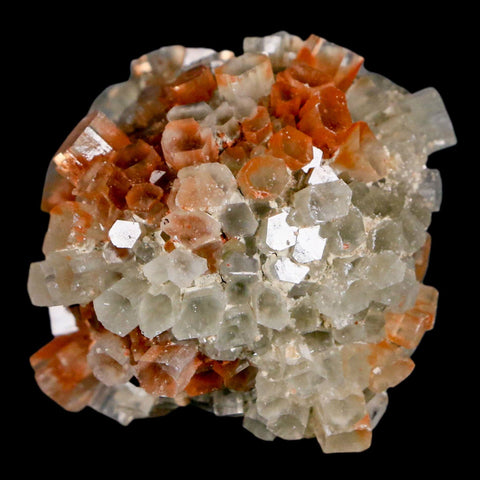 1.8" Aragonite Mineral Two Tone Crystal Cluster Specimen Tazouta Morocco - Fossil Age Minerals