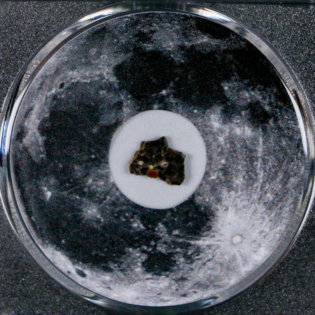 Moon Rock Lunar Meteorite Bechar 003 Algerian Sahara Desert Discovered 2022 COA