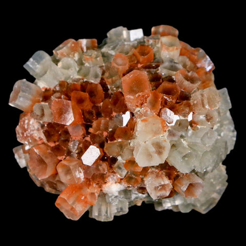 1.8" Aragonite Mineral Two Tone Crystal Cluster Specimen Tazouta Morocco - Fossil Age Minerals