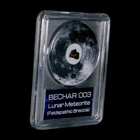 Moon Rock Lunar Meteorite Bechar 003 Algerian Sahara Desert Discovered 2022 COA