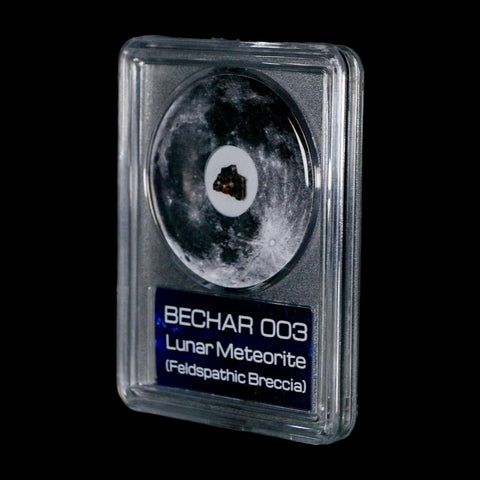 Moon Rock Lunar Meteorite Bechar 003 Algerian Sahara Desert Discovered 2022 COA