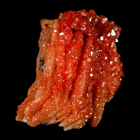 1.2" Sparkly Red Vanadinite Crystals on Orange Barite Blades Mineral Mabladen Morocco - Fossil Age Minerals