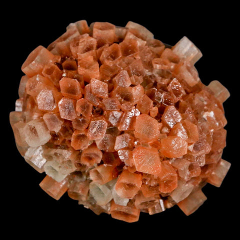 2" Aragonite Mineral Two Tone Crystal Cluster Specimen Tazouta Morocco - Fossil Age Minerals
