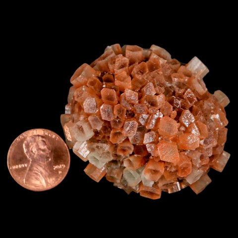 2" Aragonite Mineral Two Tone Crystal Cluster Specimen Tazouta Morocco - Fossil Age Minerals