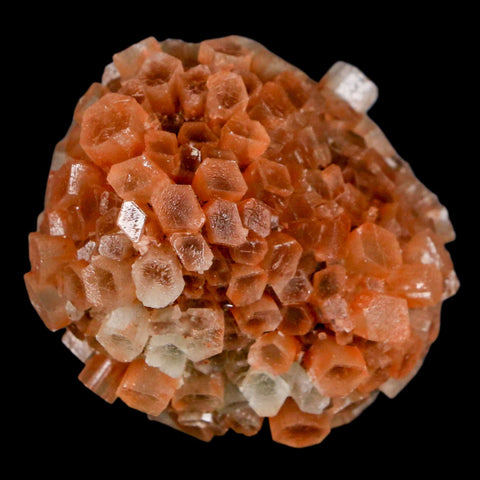 2" Aragonite Mineral Two Tone Crystal Cluster Specimen Tazouta Morocco - Fossil Age Minerals