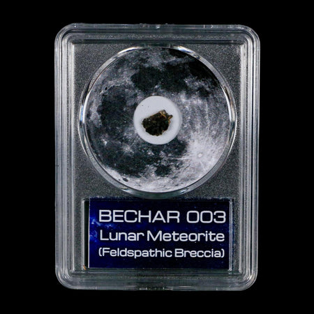 Moon Rock Lunar Meteorite Bechar 003 Algerian Sahara Desert Discovered 2022 COA