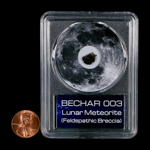 Moon Rock Lunar Meteorite Bechar 003 Algerian Sahara Desert Discovered 2022 COA