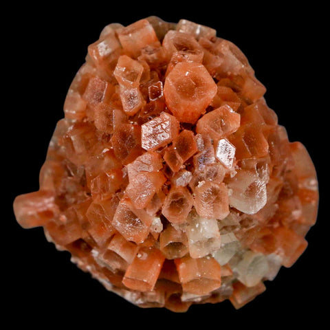 2" Aragonite Mineral Two Tone Crystal Cluster Specimen Tazouta Morocco - Fossil Age Minerals