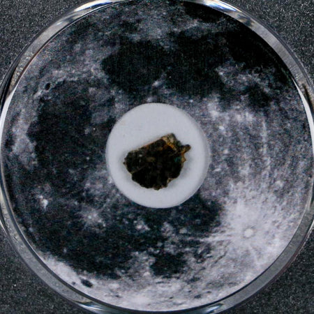 Moon Rock Lunar Meteorite Bechar 003 Algerian Sahara Desert Discovered 2022 COA