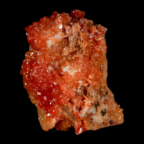 1.2" Sparkly Red Vanadinite Crystals on Orange Barite Blades Mineral Mabladen Morocco - Fossil Age Minerals