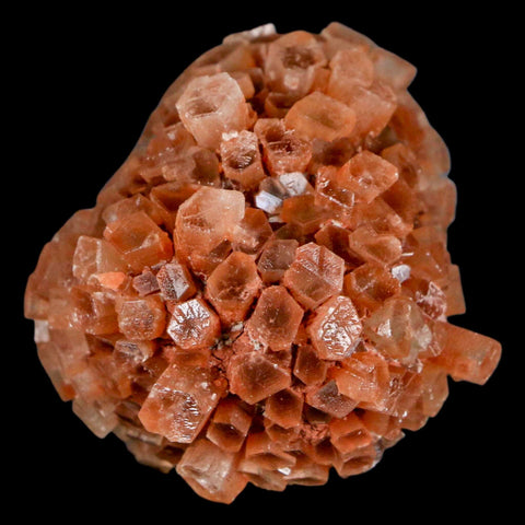 2" Aragonite Mineral Two Tone Crystal Cluster Specimen Tazouta Morocco - Fossil Age Minerals