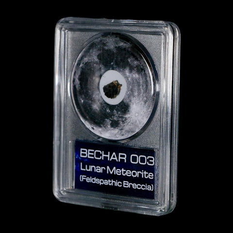 Moon Rock Lunar Meteorite Bechar 003 Algerian Sahara Desert Discovered 2022 COA