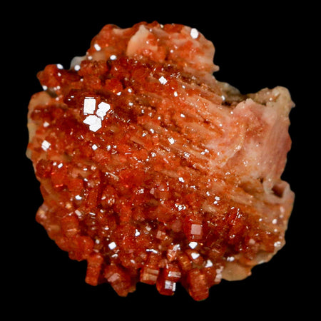 1.2" Sparkly Red Vanadinite Crystals on Orange Barite Blades Mineral Mabladen Morocco