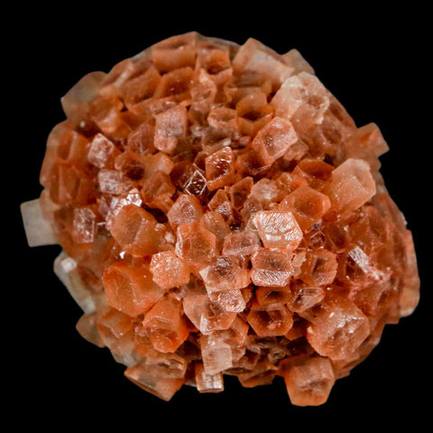 2" Aragonite Mineral Two Tone Crystal Cluster Specimen Tazouta Morocco - Fossil Age Minerals
