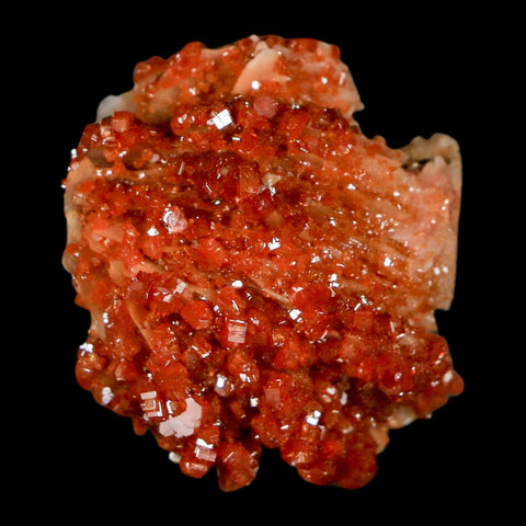 1.2" Sparkly Red Vanadinite Crystals on Orange Barite Blades Mineral Mabladen Morocco - Fossil Age Minerals