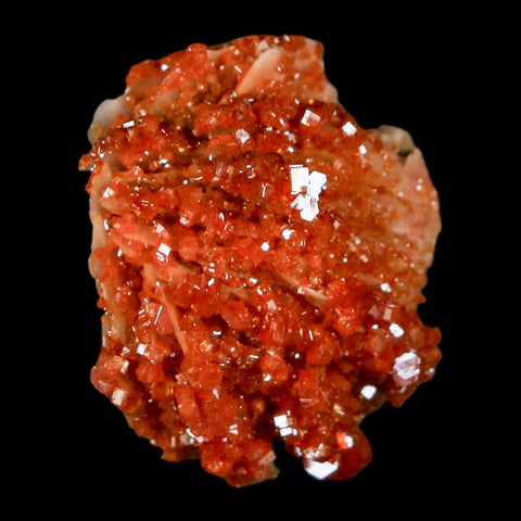 1.2" Sparkly Red Vanadinite Crystals on Orange Barite Blades Mineral Mabladen Morocco - Fossil Age Minerals