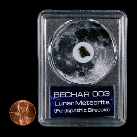 Moon Rock Lunar Meteorite Bechar 003 Algerian Sahara Desert Discovered 2022 COA