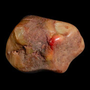 Gastrolites - Gastrolith Stomach Stones For Sale - Fossil Age Minerals