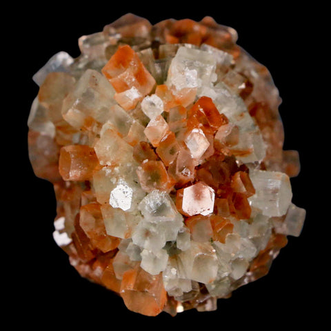 1.9" Aragonite Mineral Two Tone Crystal Cluster Specimen Tazouta Morocco - Fossil Age Minerals