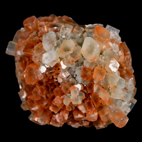 1.9" Aragonite Mineral Two Tone Crystal Cluster Specimen Tazouta Morocco - Fossil Age Minerals