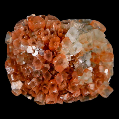 1.9" Aragonite Mineral Two Tone Crystal Cluster Specimen Tazouta Morocco - Fossil Age Minerals