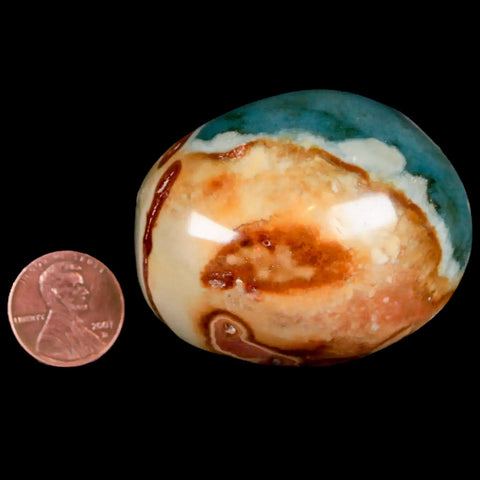 2.1" Polychrome Jasper Natural Polished Mineral Palm Stone Madagascar - Fossil Age Minerals