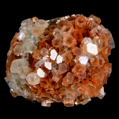1.9" Aragonite Mineral Two Tone Crystal Cluster Specimen Tazouta Morocco - Fossil Age Minerals