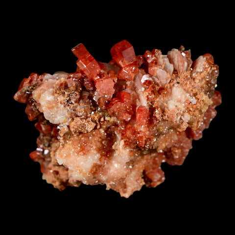 1.5" Sparkly Red Vanadinite Crystals on White Barite Blades Mineral Mabladen Morocco - Fossil Age Minerals