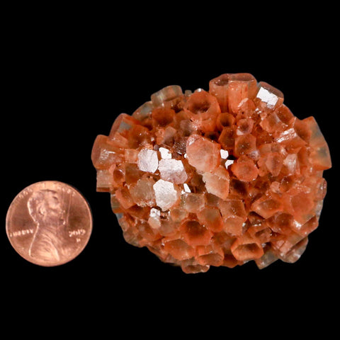 2.1" Aragonite Mineral Two Tone Crystal Cluster Specimen Tazouta Morocco - Fossil Age Minerals