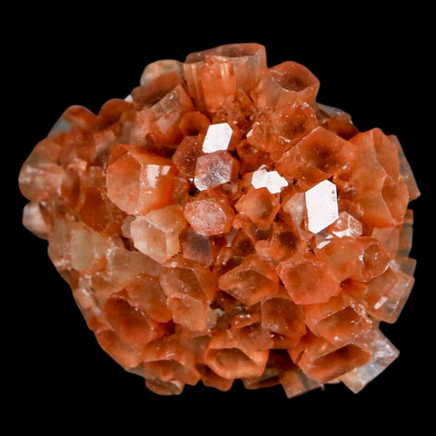 2.1" Aragonite Mineral Two Tone Crystal Cluster Specimen Tazouta Morocco - Fossil Age Minerals