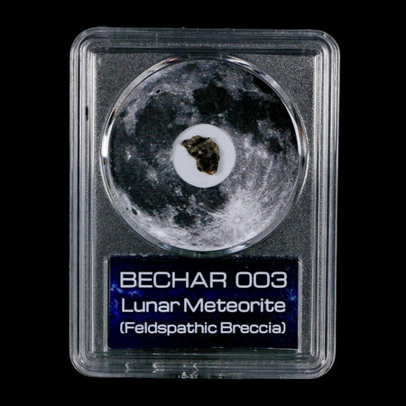 Moon Rock Lunar Meteorite Bechar 003 Algerian Sahara Desert Discovered 2022 COA