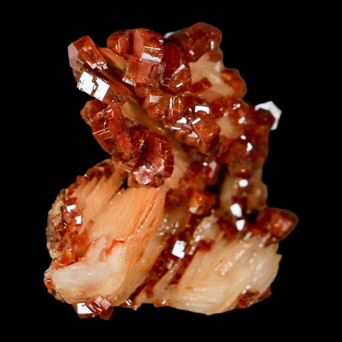 1.4" Sparkly Red Vanadinite Crystals on White Barite Blades Mineral Mabladen Morocco - Fossil Age Minerals