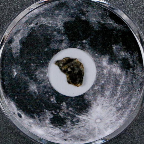 Moon Rock Lunar Meteorite Bechar 003 Algerian Sahara Desert Discovered 2022 COA