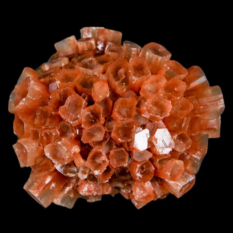 2.1" Aragonite Mineral Two Tone Crystal Cluster Specimen Tazouta Morocco - Fossil Age Minerals