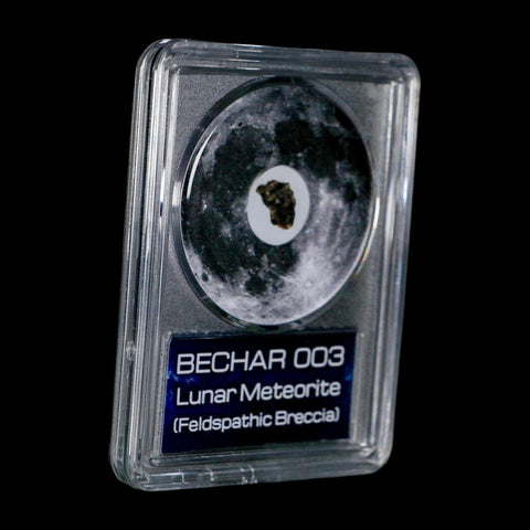 Moon Rock Lunar Meteorite Bechar 003 Algerian Sahara Desert Discovered 2022 COA