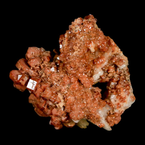1.4" Sparkly Red Vanadinite Crystals on White Barite Blades Mineral Mabladen Morocco - Fossil Age Minerals