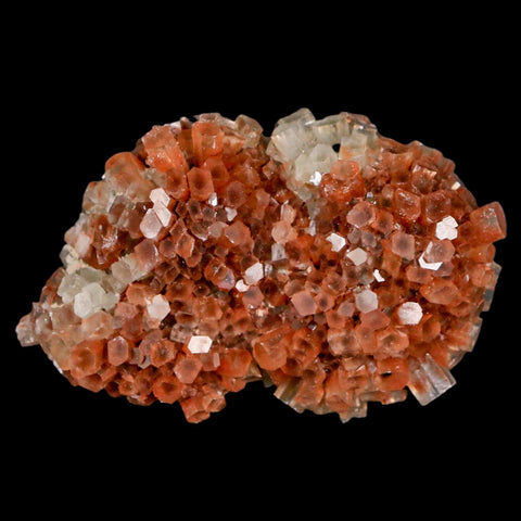 2.8" Aragonite Mineral Two Tone Crystal Cluster Specimen Tazouta Morocco - Fossil Age Minerals