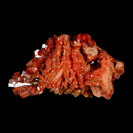 2.6" Sparkly Red Vanadinite Crystals on White Barite Blades Mineral Mabladen Morocco