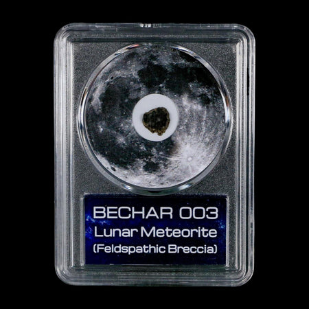 Moon Rock Lunar Meteorite Bechar 003 Algerian Sahara Desert Discovered 2022 COA