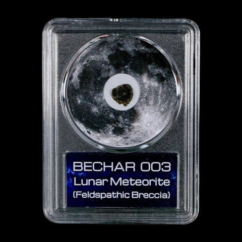 Moon Rock Lunar Meteorite Bechar 003 Algerian Sahara Desert Discovered 2022 COA