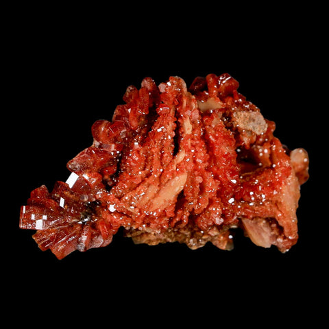2.6" Sparkly Red Vanadinite Crystals on White Barite Blades Mineral Mabladen Morocco - Fossil Age Minerals